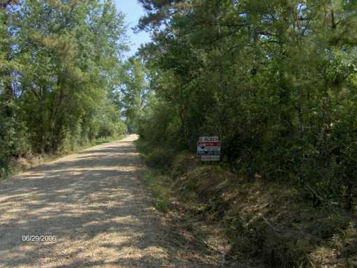 0 A Pierre Road Folsom, LA 70437 - Photo 1 of 4 Gallery Image 1