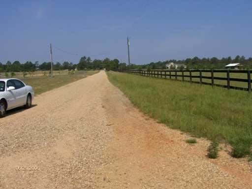 0 A Pierre Road Folsom, LA 70437 - Photo 3 of 4 Gallery Image 3