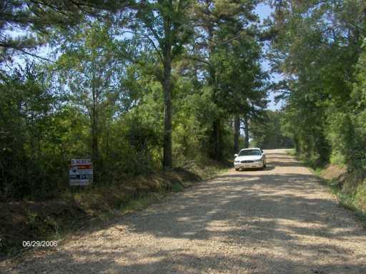 0 A Pierre Road Folsom, LA 70437 - Photo 4 of 4 Gallery Image 4