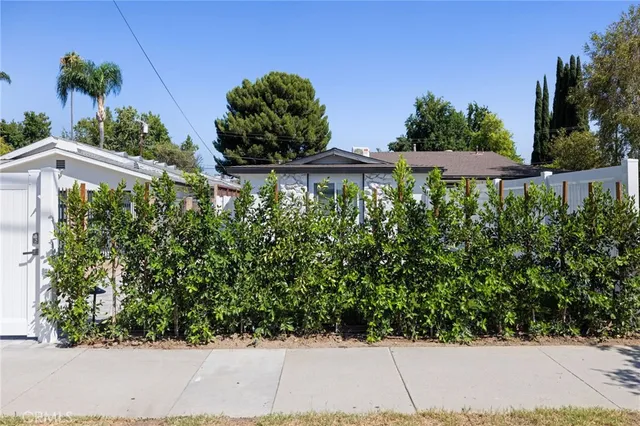 a view of a garden with a pathway