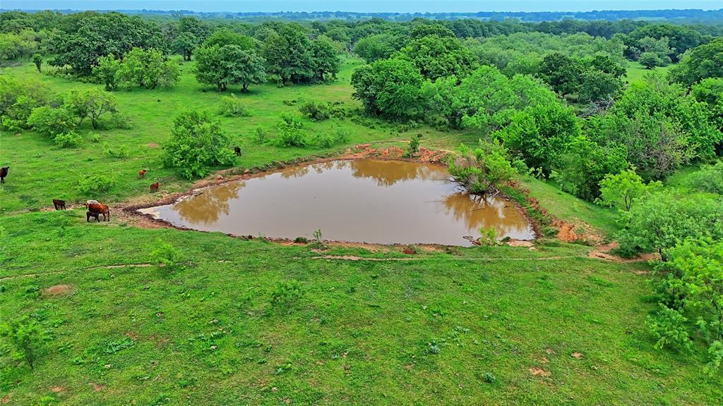 Tbd Tbd Cardwell Road Nocona, TX 76255 - Photo 14 of 30