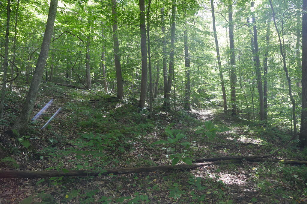4163 Lick Creek Road Birchleaf, VA 24220 - Photo 69 of 86 Gallery Image 69