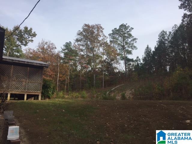 855 Reed Creek Drive Shelby, AL 35143 - Photo 7 of 14