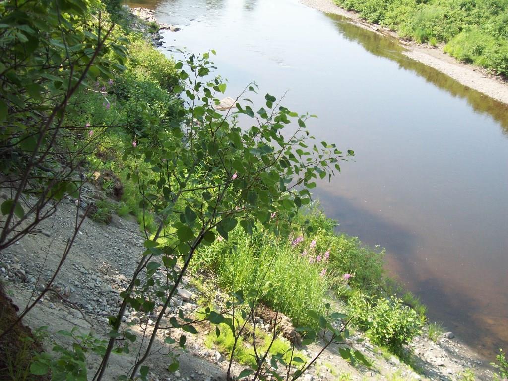 83 Walker Brook Road St. Francis, ME 04774 - Photo 5 of 12 Photo