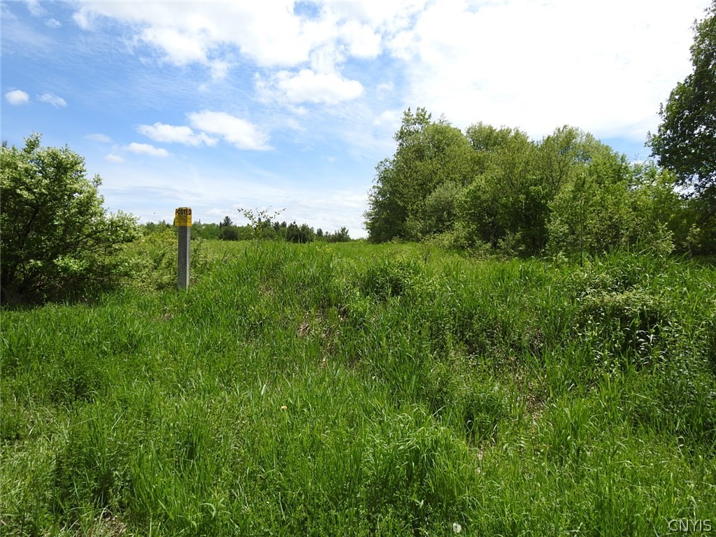 0 Bower Road Constableville, NY 13325 - Photo 2 of 37