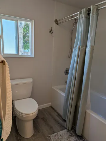 a bathroom with a toilet and a shower