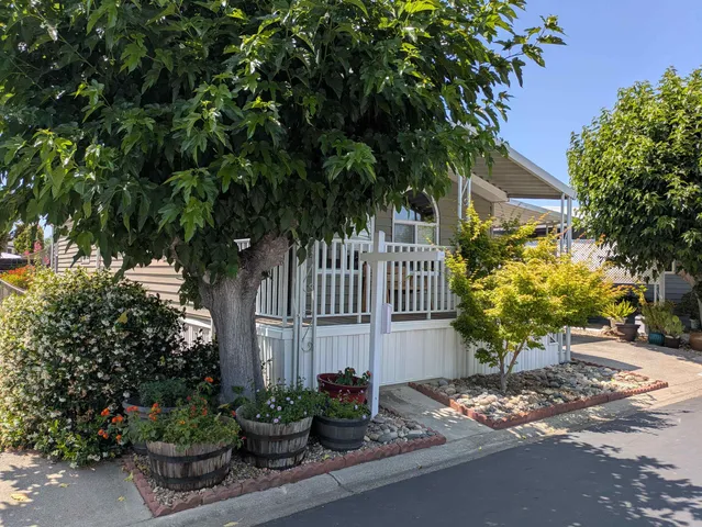 a potted plant sitting in front of a house