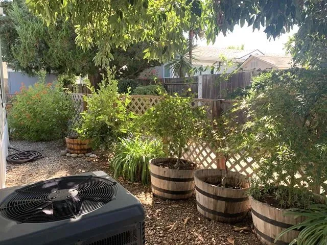 a view of a patio with table and chairs under an umbrella with large trees