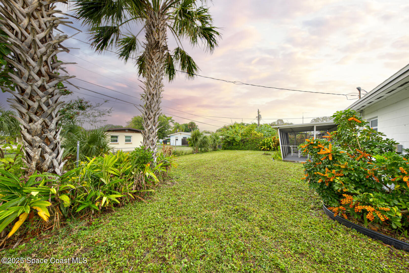 813 7th Street Merritt Island, FL 32953 - Photo 25 of 28 a view of a yard with an tree