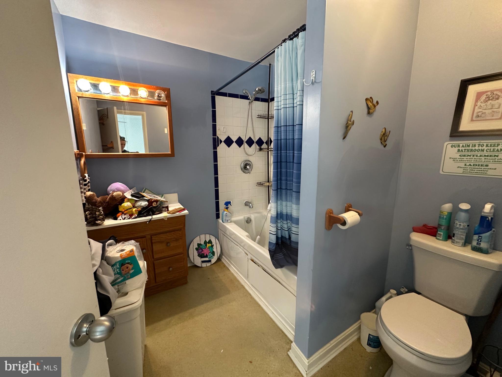 5619 Courtneys Corner Road Sumerduck, VA 22742 - Photo 11 of 29 Primary bath