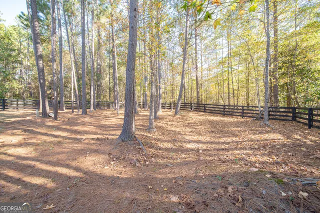 a view of outdoor space with deck and trees