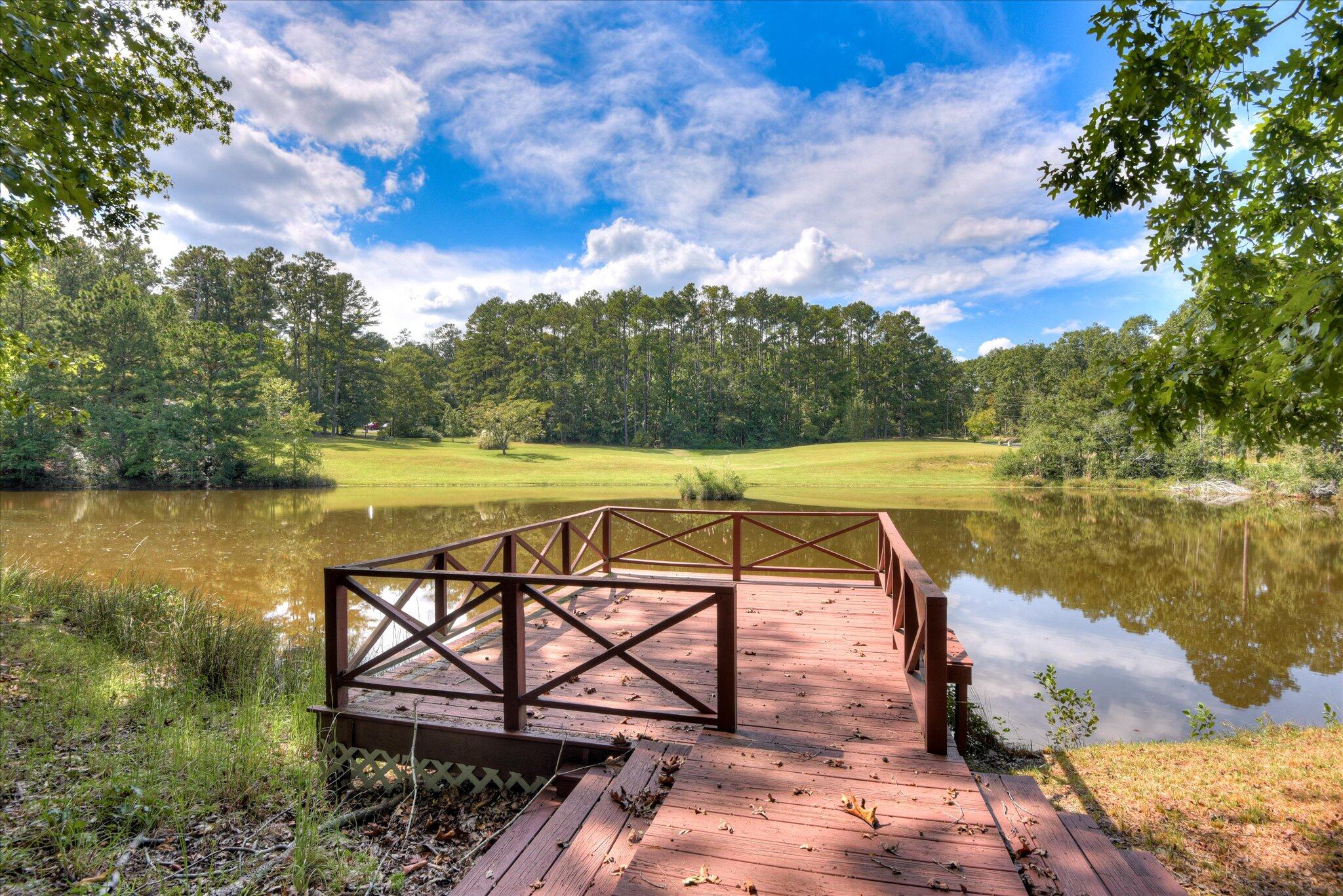 98 Bream Oak Road Trenton, SC 29847 - Photo 59 of 75 98 Bream Oak (79)