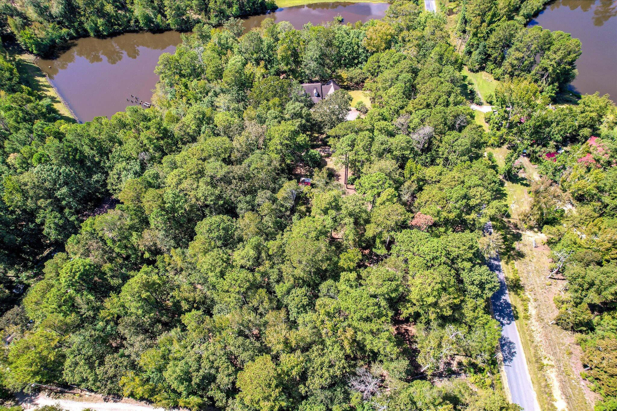 98 Bream Oak Road Trenton, SC 29847 - Photo 74 of 75 98 Bream Oak (7)