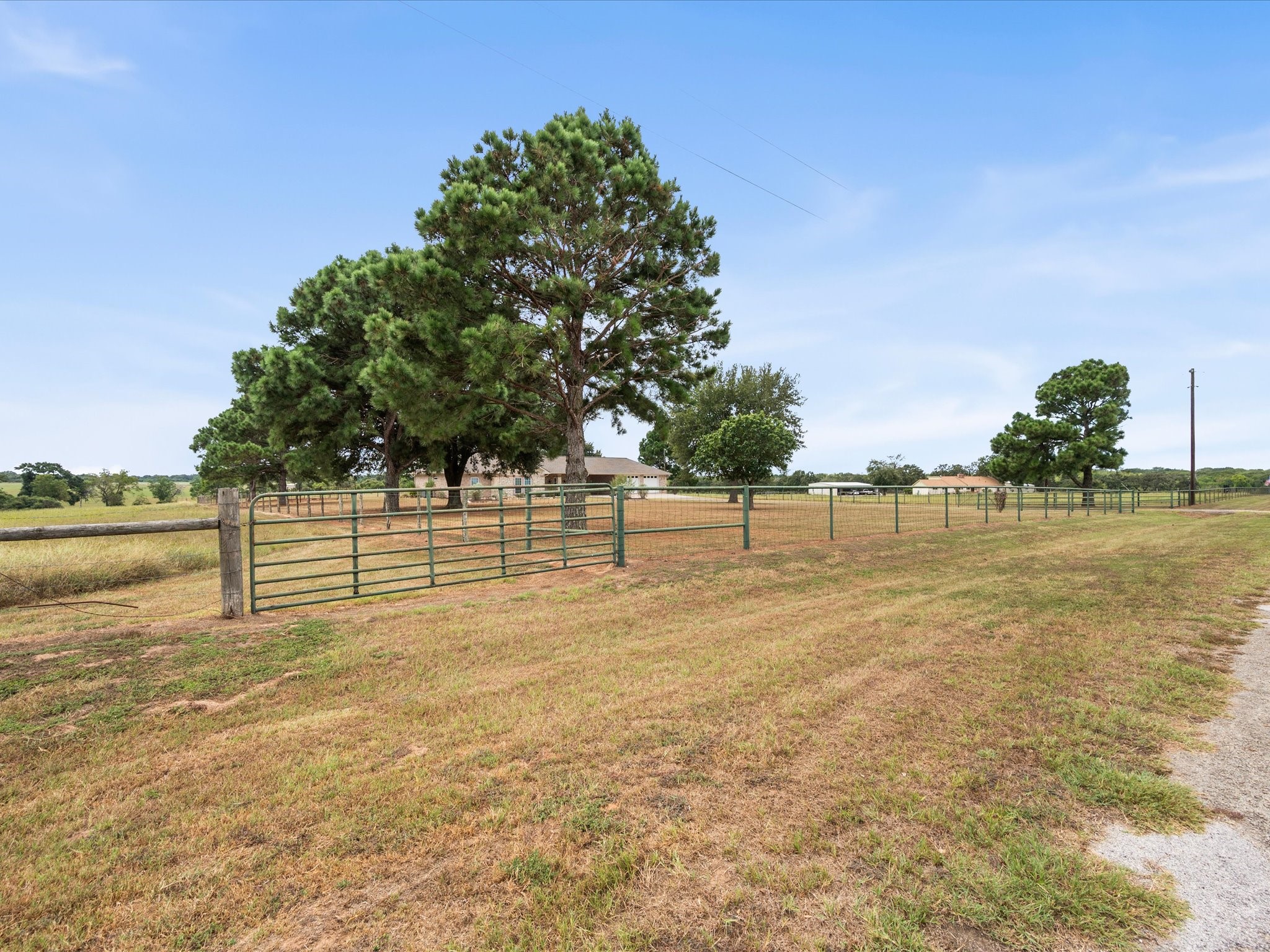 19929 Pierceall Road Hempstead, TX 77445 - Photo 6 of 50 Level, cleared land dotted with lush mature trees creates an ideal setting for enjoying the outdoors, with the entire property fully fenced.
