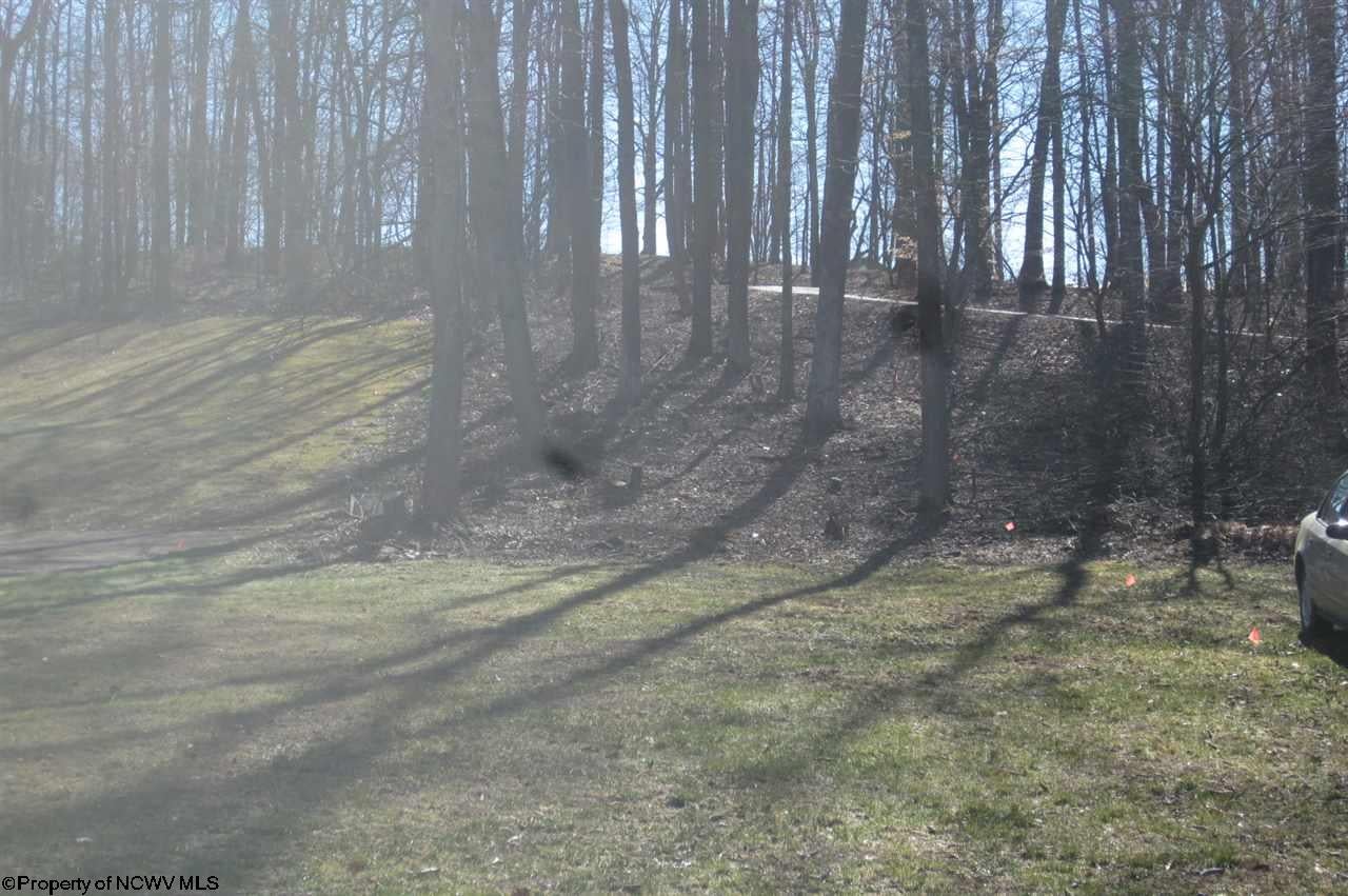 Tbd Sandy Holw Road Bridgeport, WV 26330 - Photo 1 of 20 Gallery Image 1