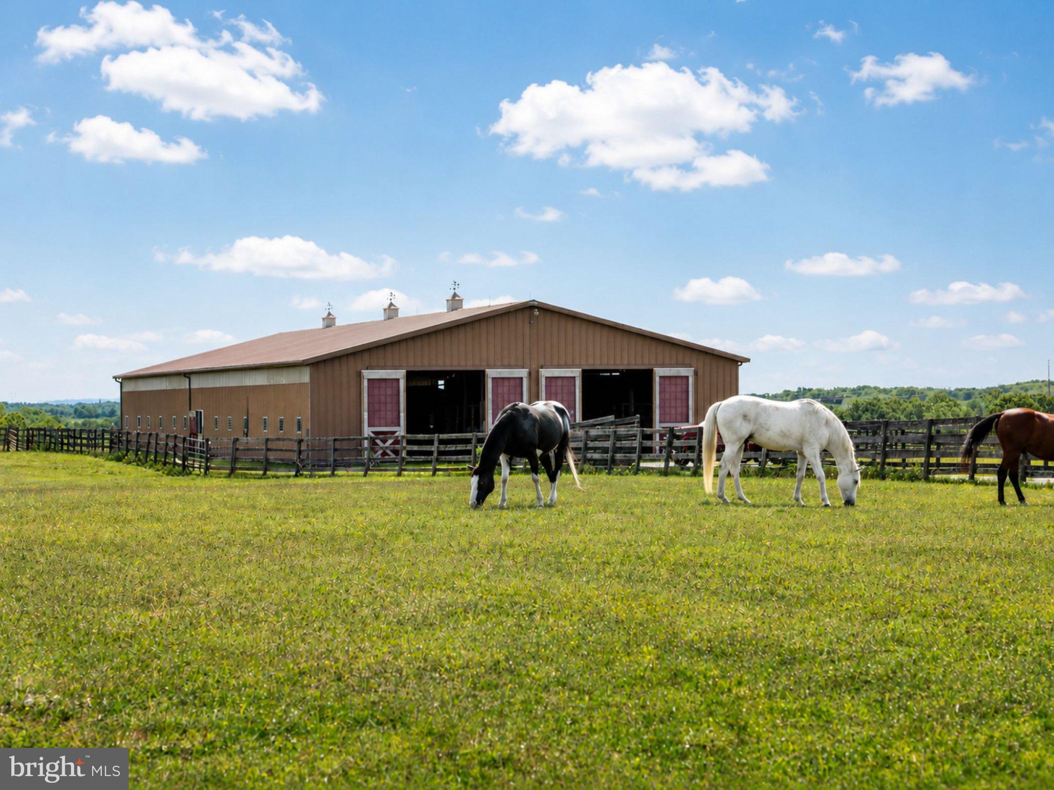 255 Sheaffer Road Carlisle, PA 17013 - Photo 12 of 32 Serene pasture with grazing horses.