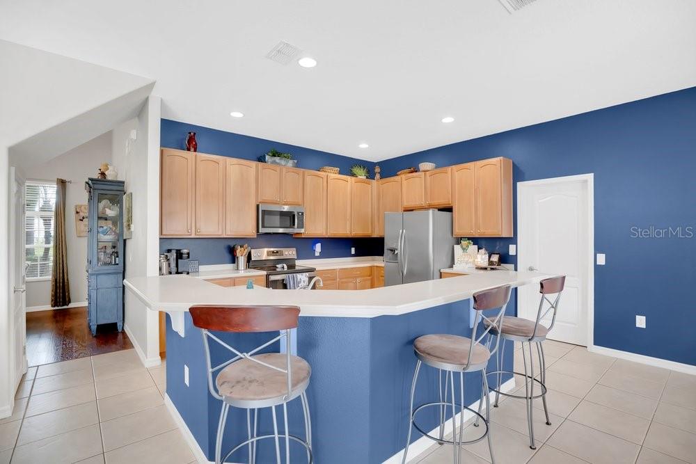 5132 Rishley Run Way Mount Dora, FL 32757 - Photo 18 of 59