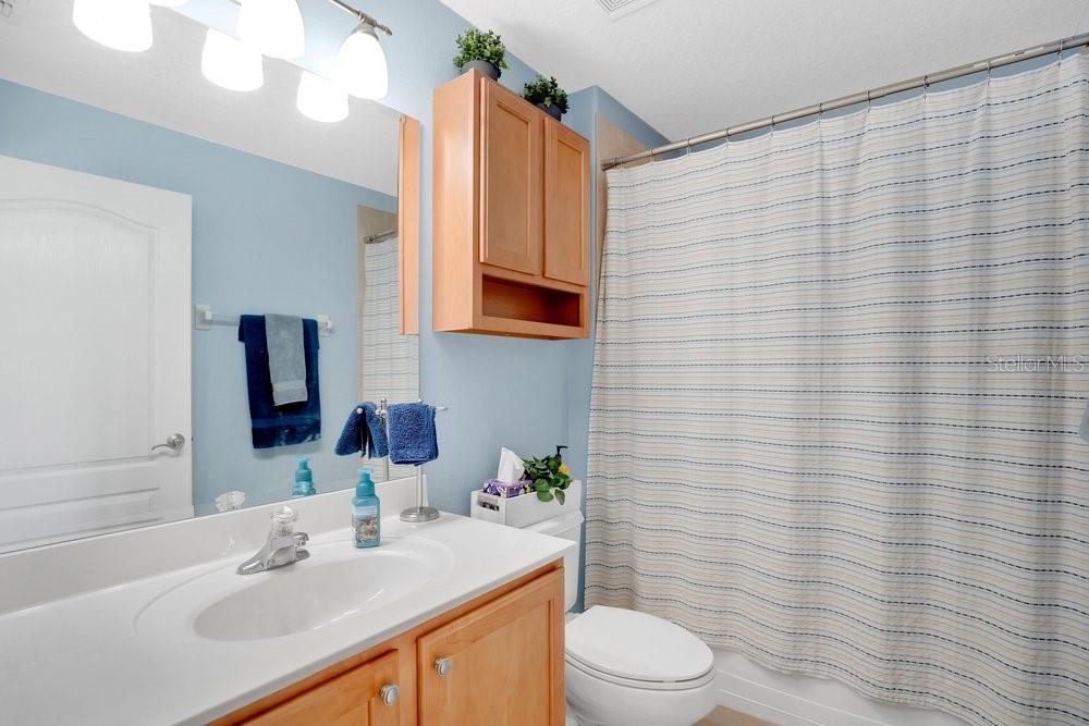 5132 Rishley Run Way Mount Dora, FL 32757 - Photo 21 of 59