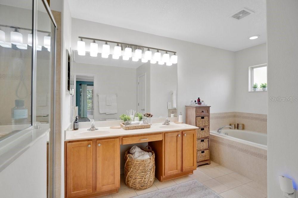 5132 Rishley Run Way Mount Dora, FL 32757 - Photo 24 of 59