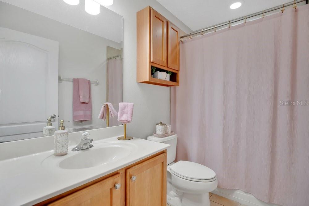 5132 Rishley Run Way Mount Dora, FL 32757 - Photo 28 of 59