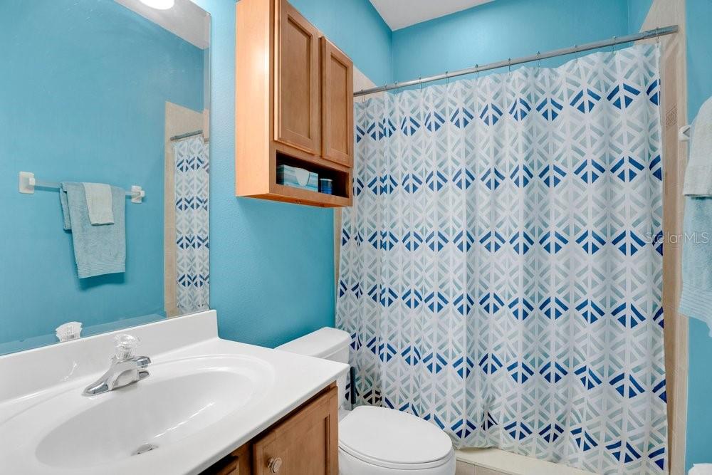 5132 Rishley Run Way Mount Dora, FL 32757 - Photo 33 of 59