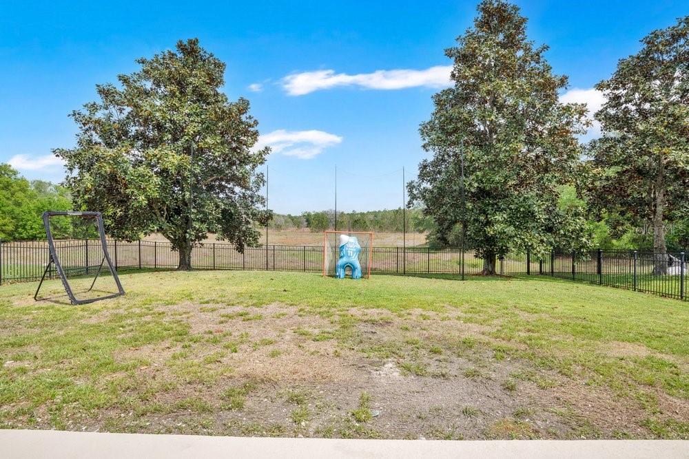 5132 Rishley Run Way Mount Dora, FL 32757 - Photo 40 of 59