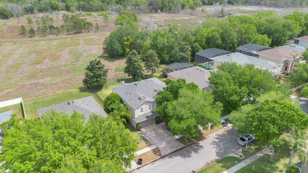 5132 Rishley Run Way Mount Dora, FL 32757 - Photo 4 of 59