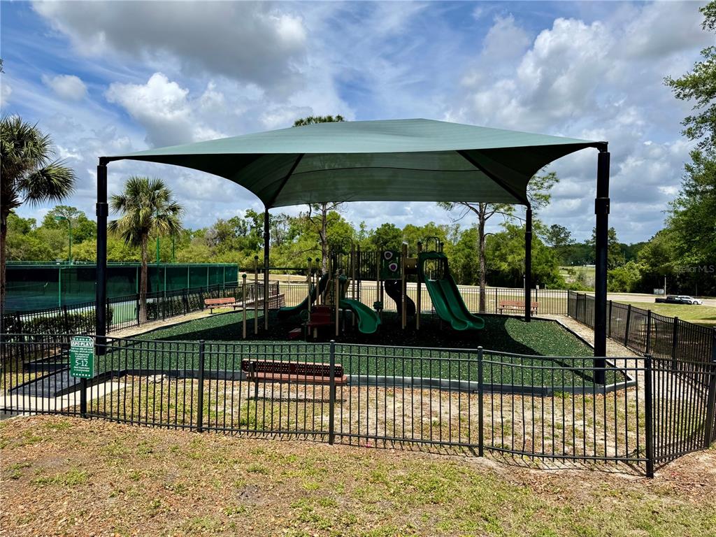 5132 Rishley Run Way Mount Dora, FL 32757 - Photo 50 of 59