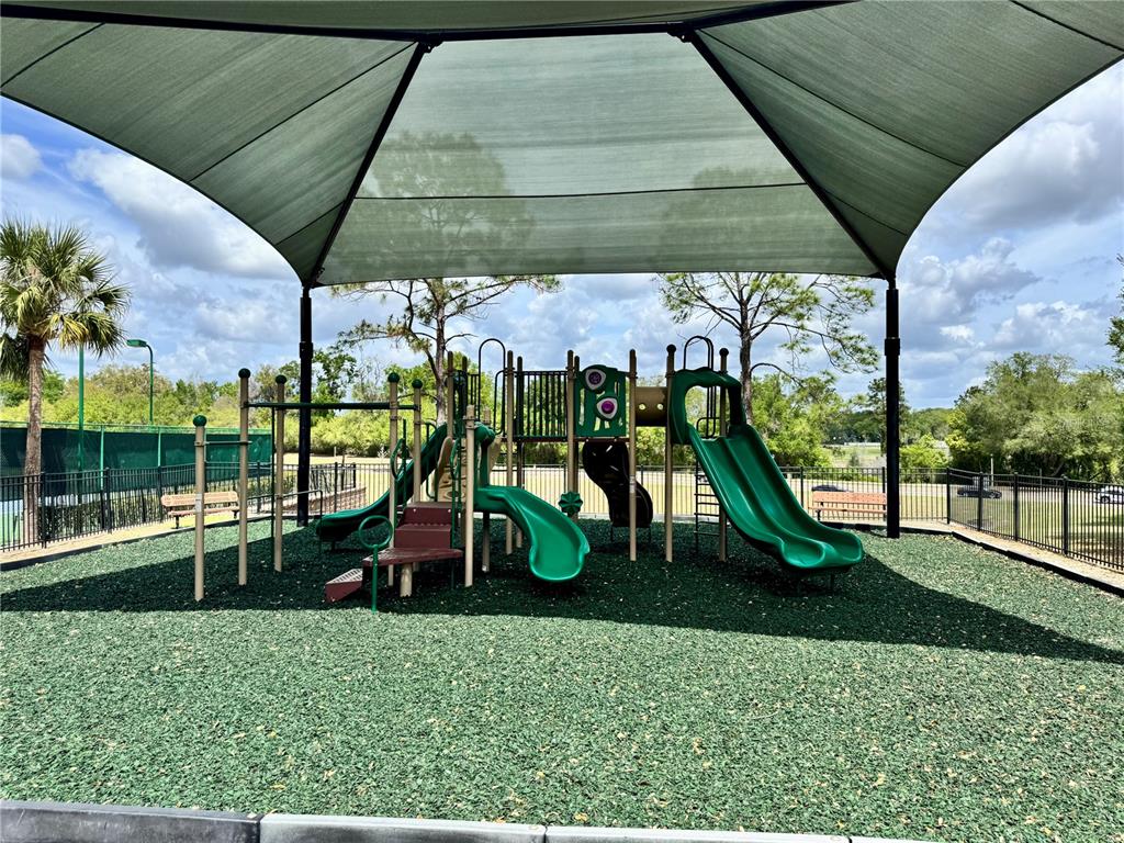 5132 Rishley Run Way Mount Dora, FL 32757 - Photo 51 of 59