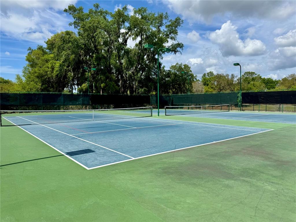 5132 Rishley Run Way Mount Dora, FL 32757 - Photo 52 of 59