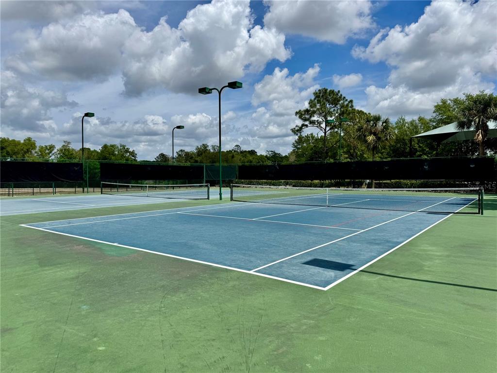 5132 Rishley Run Way Mount Dora, FL 32757 - Photo 53 of 59