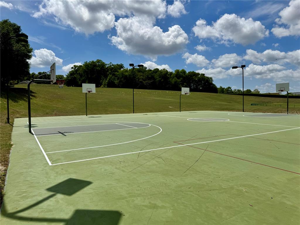 5132 Rishley Run Way Mount Dora, FL 32757 - Photo 56 of 59