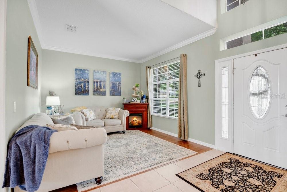 5132 Rishley Run Way Mount Dora, FL 32757 - Photo 6 of 59