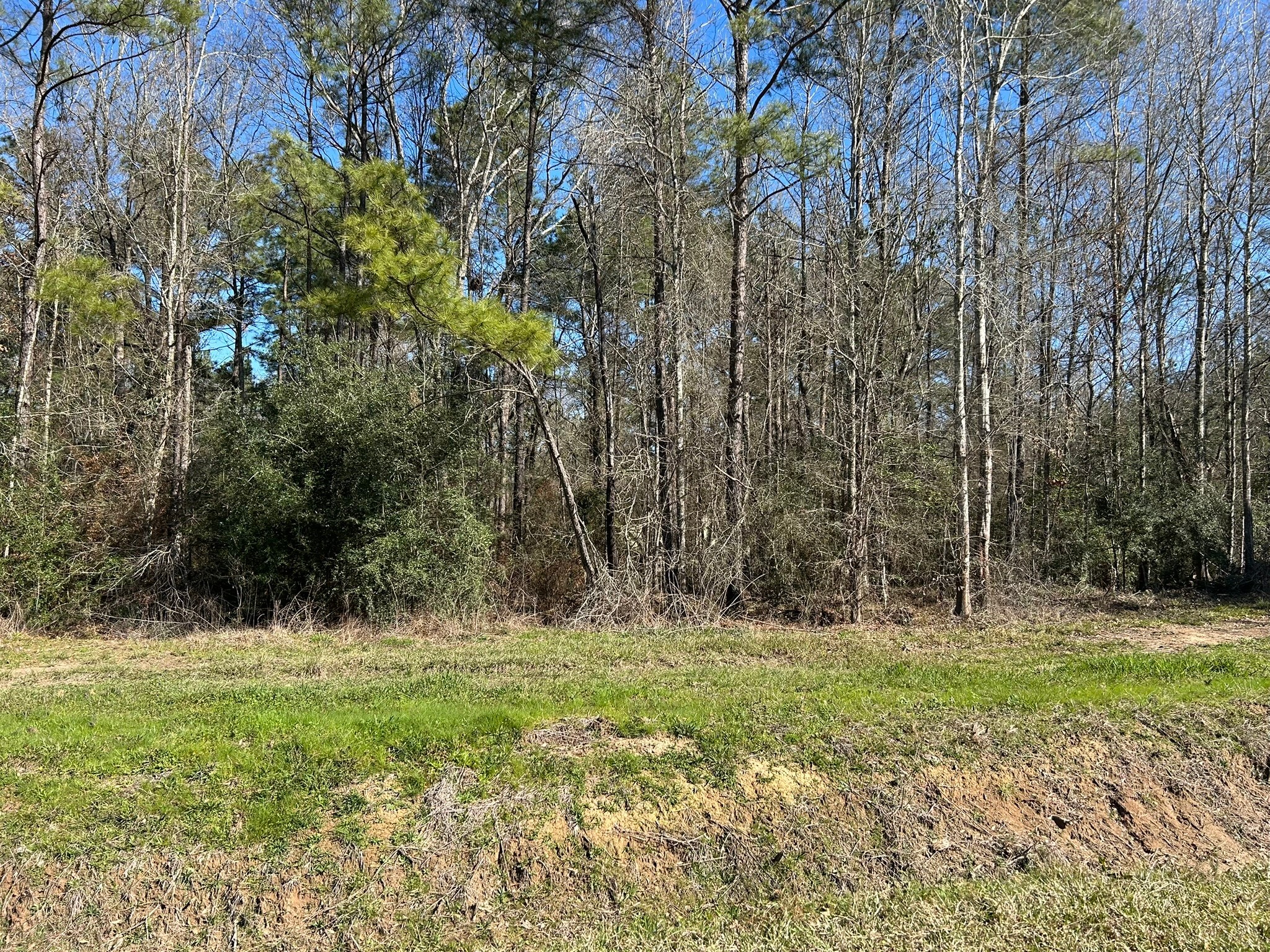 5 Circle 5 Street Orange, TX 77632 - Photo 5 of 10 a view of a green field