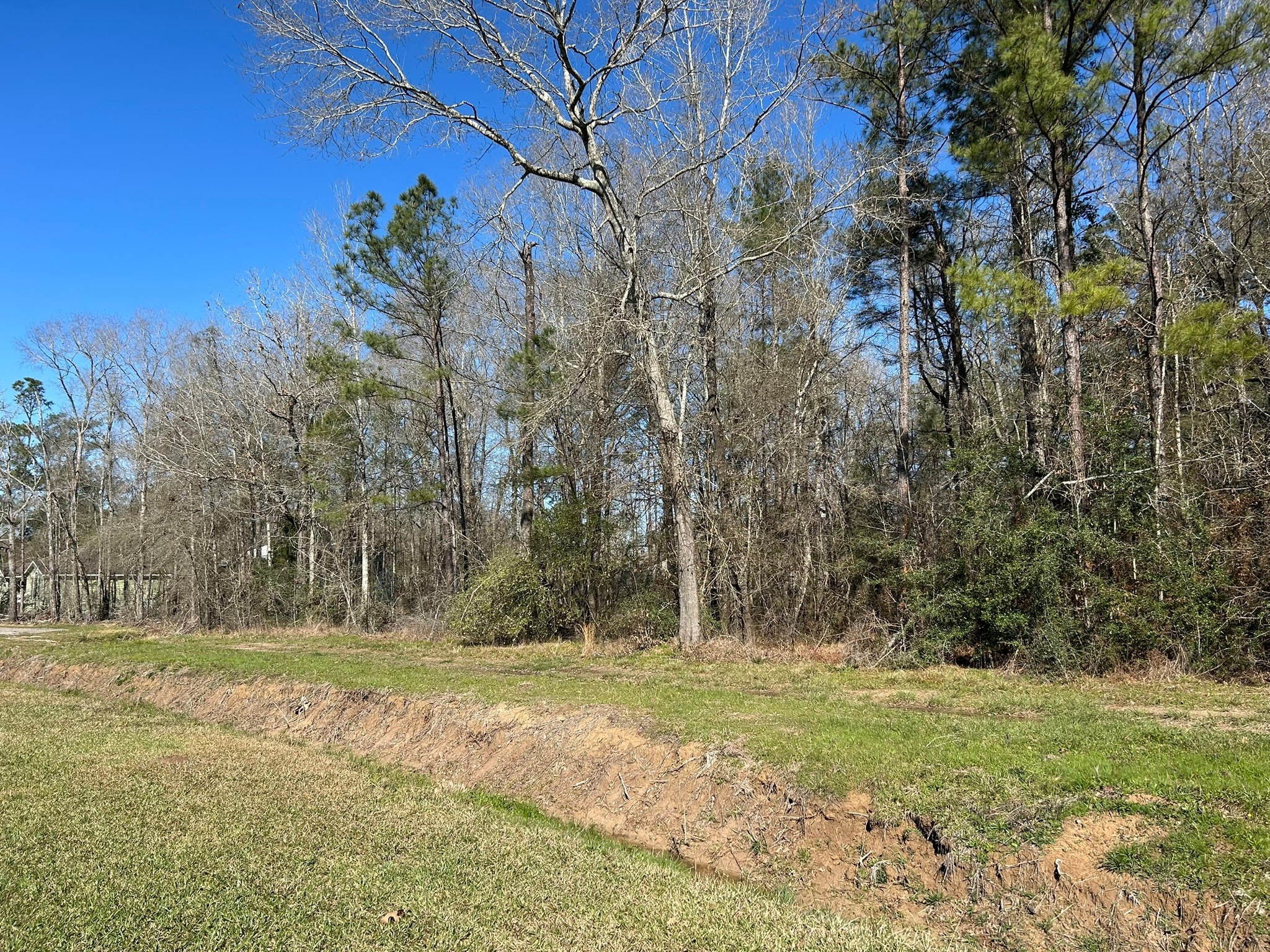 5 Circle 5 Street Orange, TX 77632 - Photo 6 of 10 a view of outdoor space with trees all around
