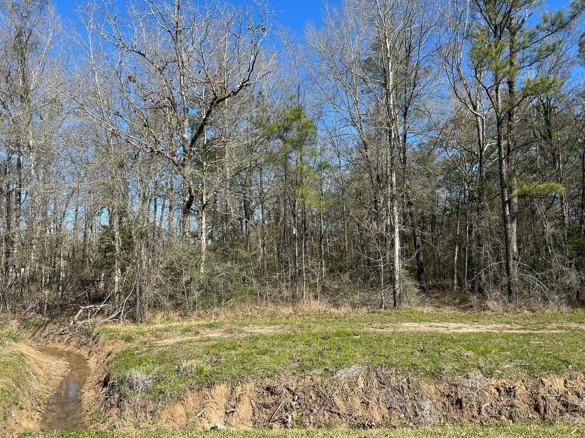 5 Circle 5 Street Orange, TX 77632 - Photo 7 of 10 a backyard of a house with lots of green space