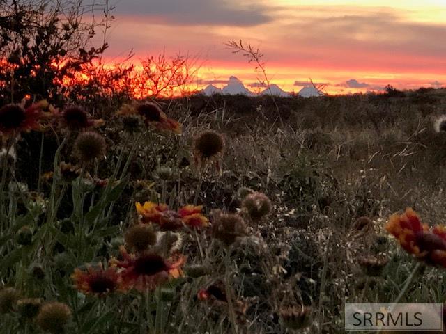 2786 East 500 Road North St. Anthony, ID 83445 - Photo 6 of 75 Teton views from the front yard