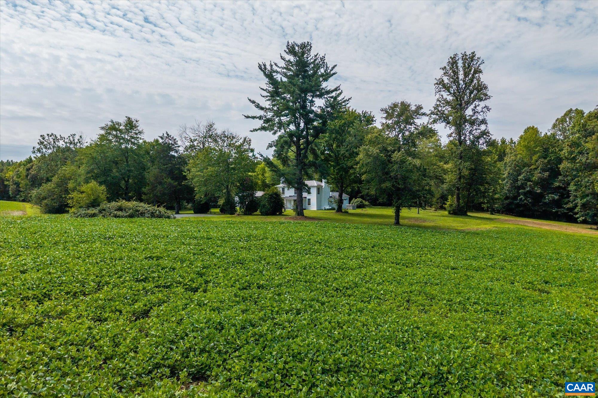 1663 Wilmington Road Palmyra, VA 22963 - Photo 49 of 60 Gallery Image 49