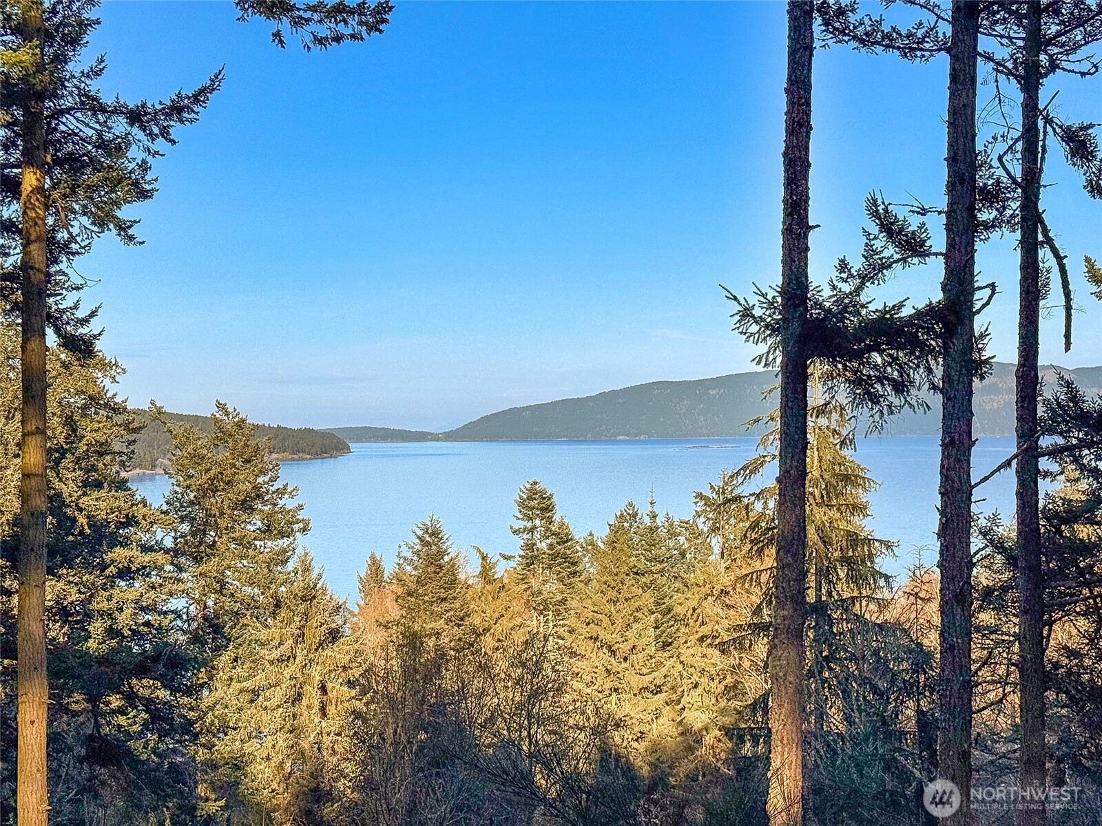 1407 Obstruction Pass Road Orcas Island, WA 98279 - Photo 10 of 26