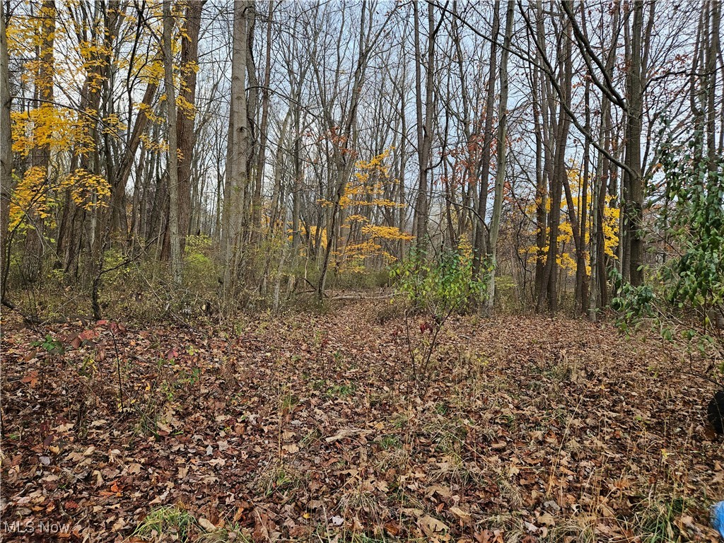 2866 McMackin Road Madison, OH 44057 - Photo 12 of 17 View of landscape