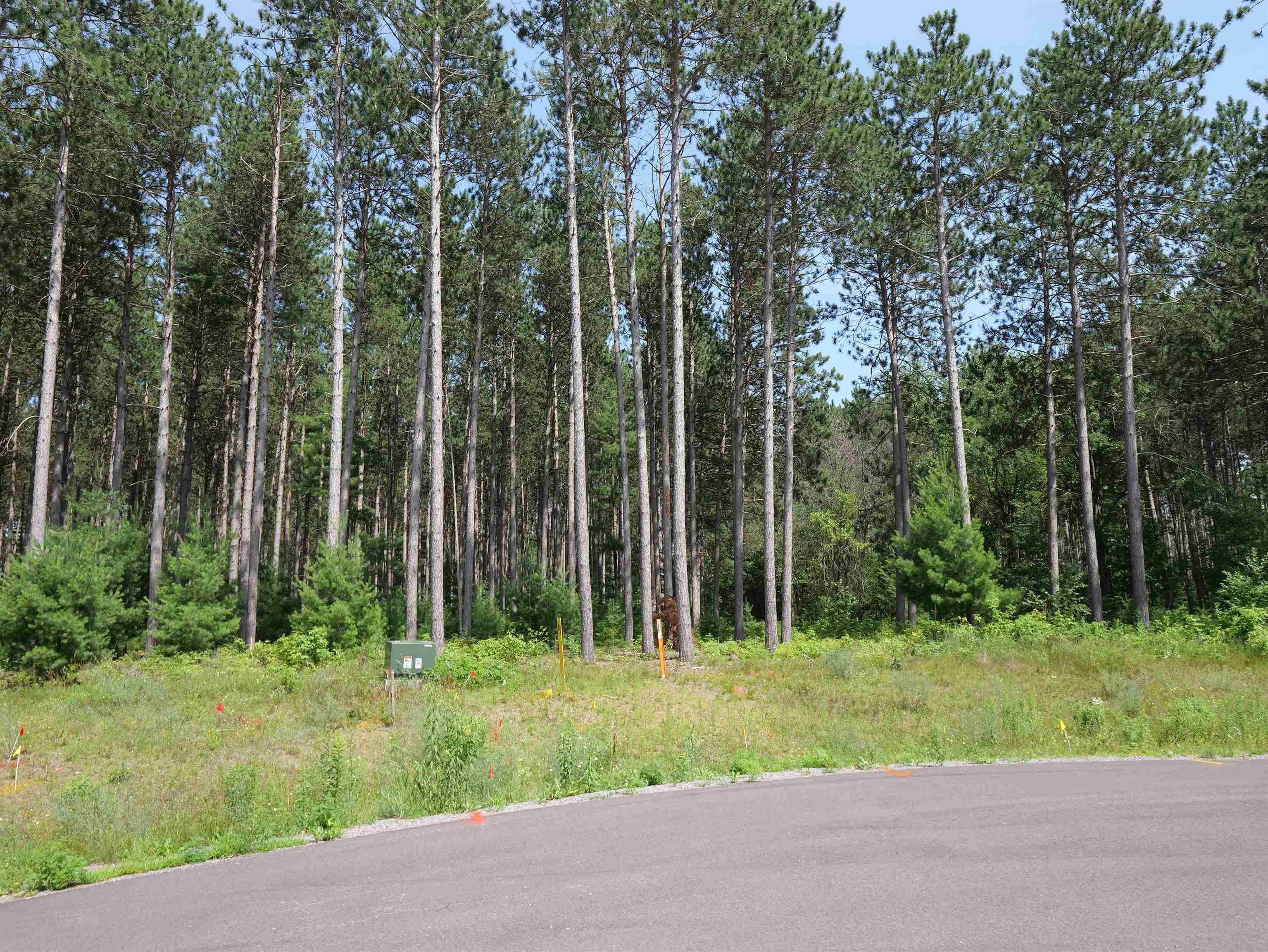 Lot 6 Two Sisters Court Stevens Point, WI 54482 - Photo 7 of 9