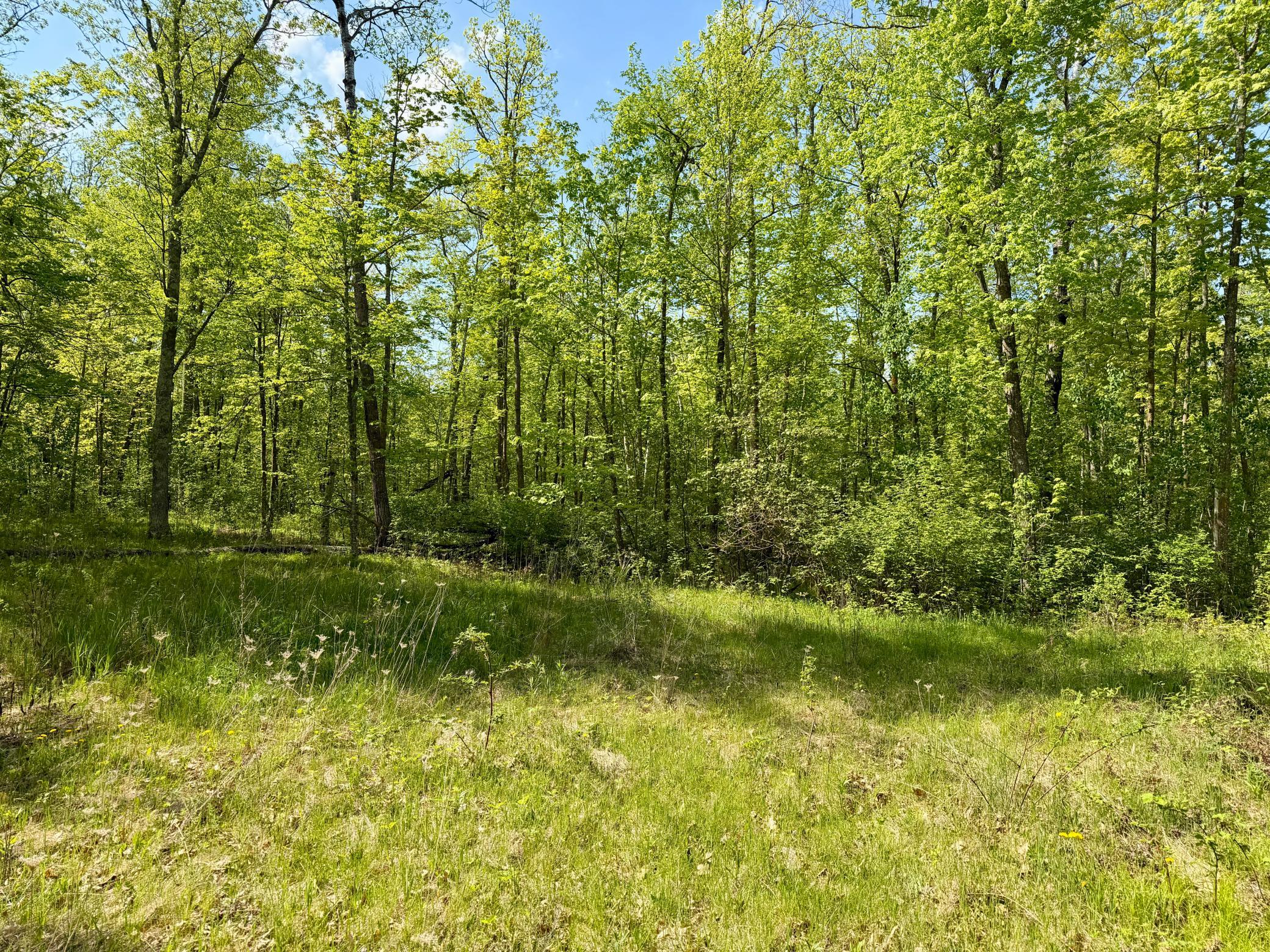 9072 County 8 Northeast Remer, MN 56672 - Photo 5 of 7