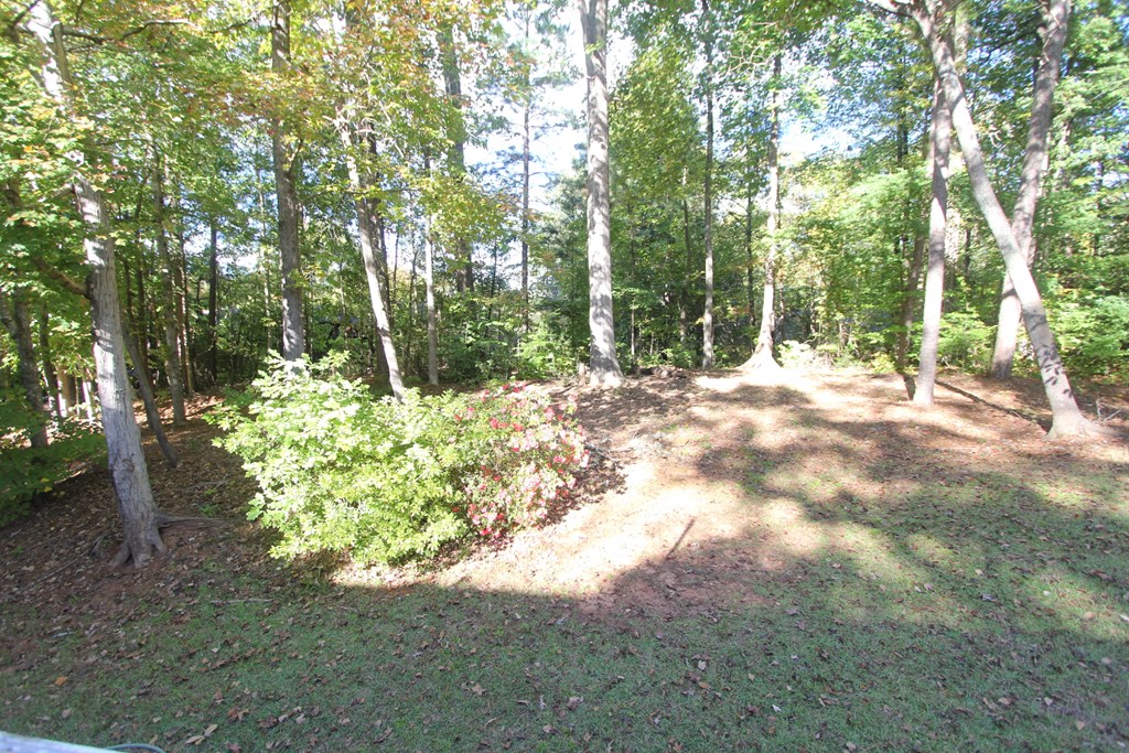 210 Laurel Ridge Way Greenwood, SC 29649 - Photo 18 of 20 Gallery Image 18