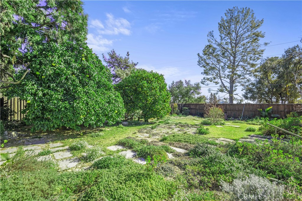 4704 Briggs Avenue La Crescenta, CA 91214 - Photo 25 of 28 a big yard with lots of green space and plants