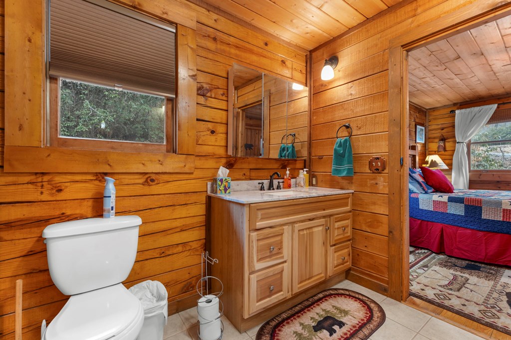 451 Summit Road Otto, NC 28763 - Photo 25 of 40 a bathroom with a sink a toilet and a shower