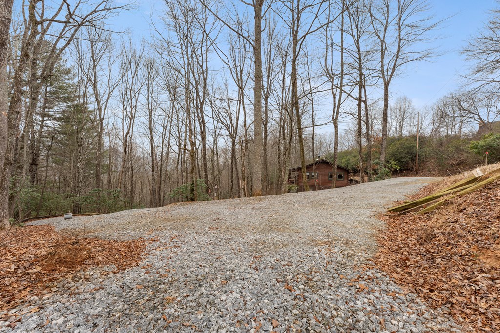 451 Summit Road Otto, NC 28763 - Photo 5 of 40 a street view with large trees