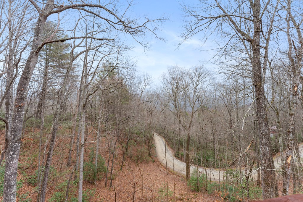 451 Summit Road Otto, NC 28763 - Photo 6 of 40 a backyard of a house