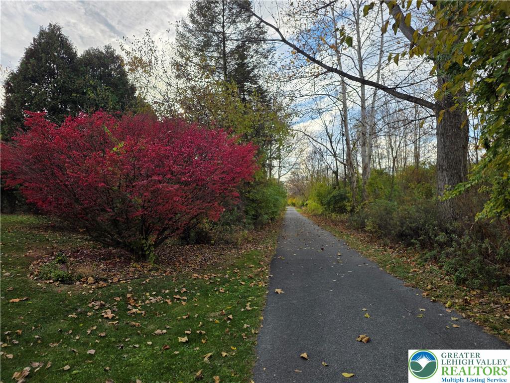 844 Catherine Drive Coplay, PA 18037 - Photo 12 of 52 a backyard of a house with lots of green space