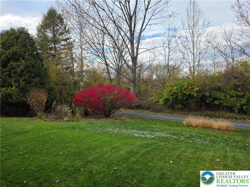 844 Catherine Drive Coplay, PA 18037 - Photo 9 of 52 a view of a yard with plants and a large tree