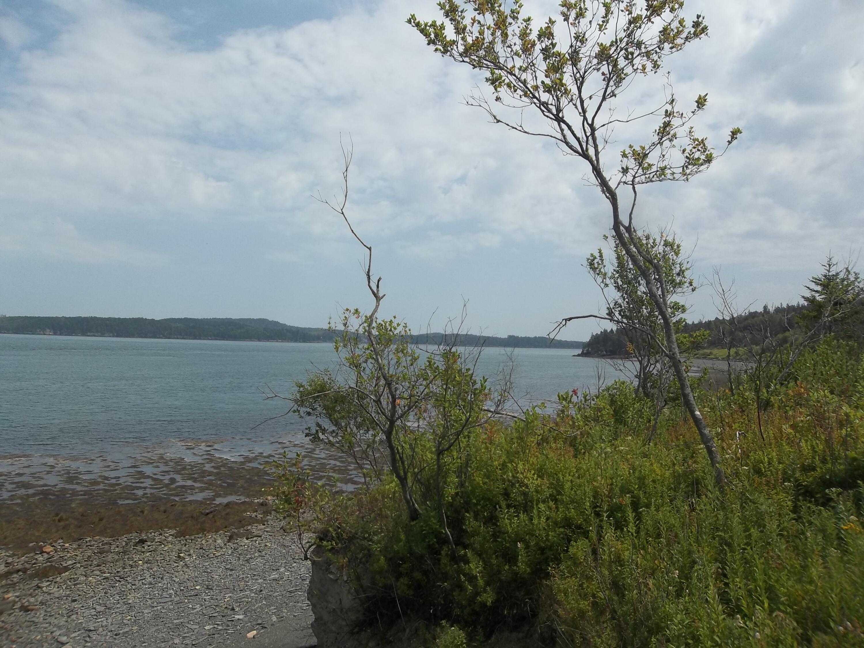 17 Indian Road Eastport, ME 04631 - Photo 7 of 12 100_2393